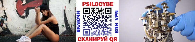 наркота  kraken сайт  Галлюциногенные грибы Psilocybine cubensis  Курлово 
